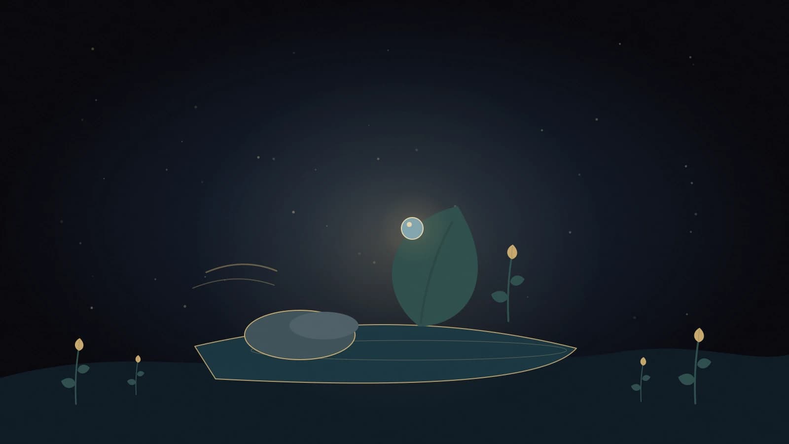 5-4-3-2-1 Explorer presents softly illuminated leaves, smooth stones and rippling water in a peaceful night garden.