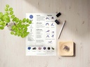 Third Eye Chakra Unlocked: Your Guide to the Ajna Chakra - Digital Download