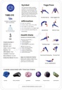 Third Eye Chakra Unlocked: Your Guide to the Ajna Chakra - Digital Download