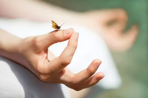 Quick Peace Yoganidra